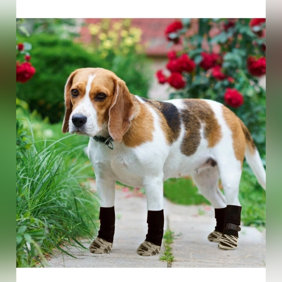 4 piece Anti-Slip Waterproof Protective Dog Socks, Tiger print, Size S - Picture 2 of 7
